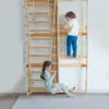 indoor wooden climbing gym for kids